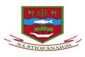 Ballina Stephenites team logo