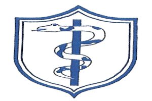 Naas Camogie crest