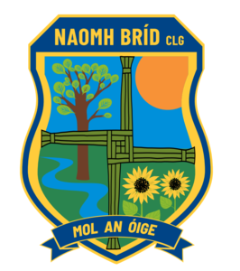 Naomh Bríd