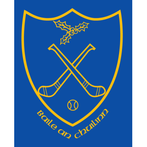 Ballinkillen crest