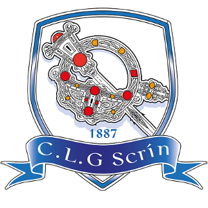 Skryne crest