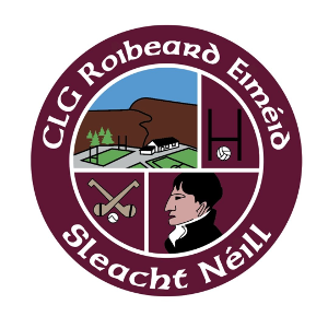 CLG Roibeard Eiméid, Sleacht Néill Development Squad