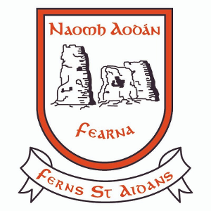 Ferns St Aidans crest