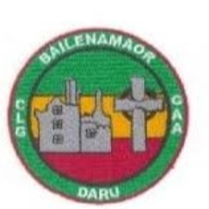 Ballinamere/Durrow crest