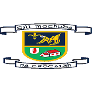 Kilmacud Crokes crest
