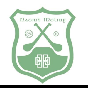 Naomh Moling crest